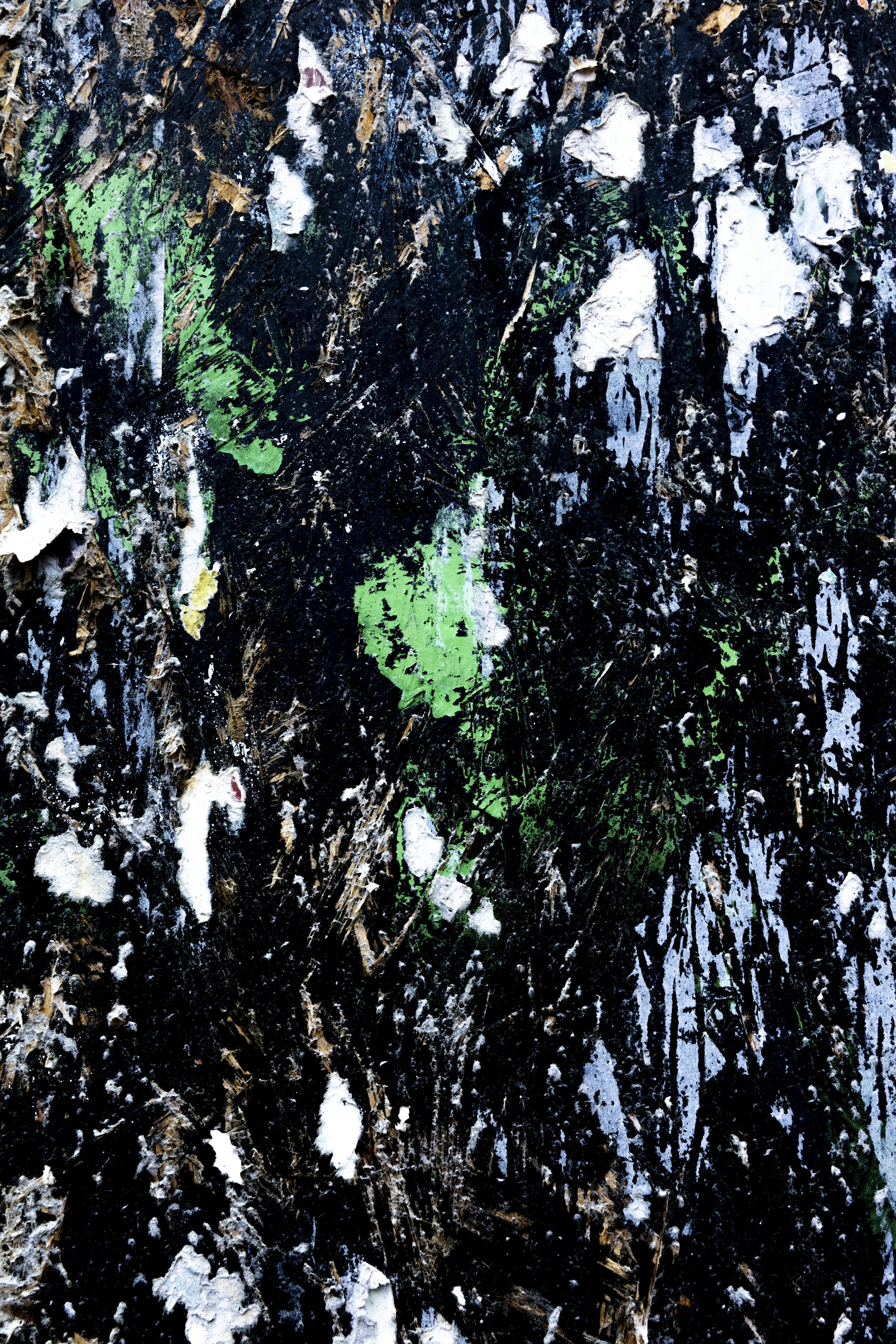 {Compendia+} #4 2024